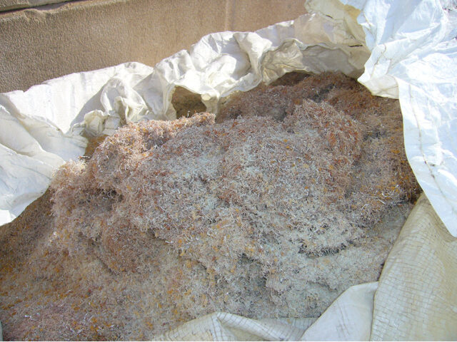 プリント基板の切削加工の際に排出されるドリル粉（削り粉、切粉）。生基板に近い品位が見込まれます。ドリル粉も生基板や基板端材同様、社内で原料として使用します。銅品位２５％程度。